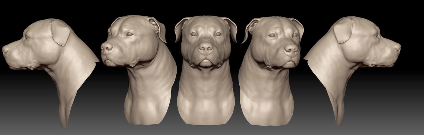 ZBrush Sculpt
